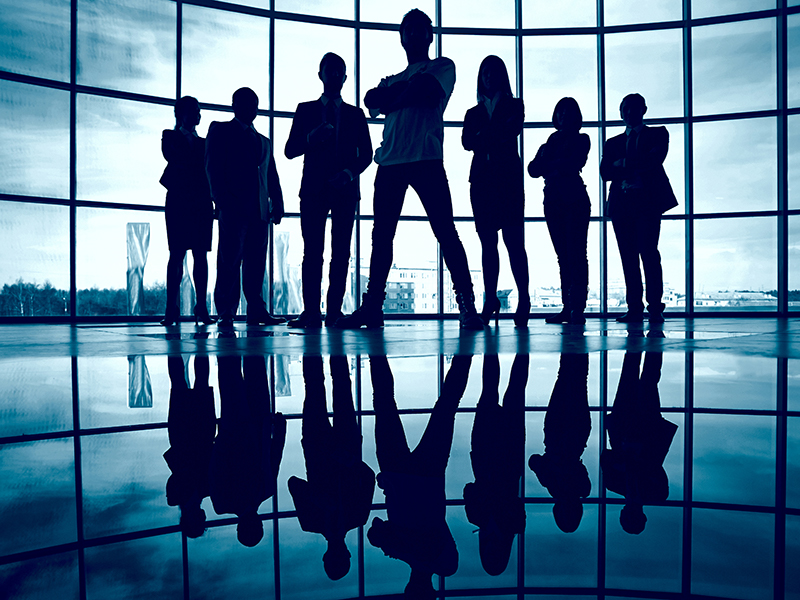 奥斯特科技团队